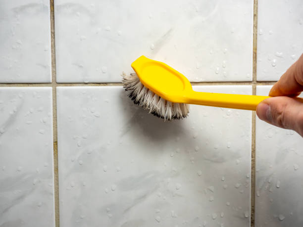 Best Same-Day Mold Removal  in Harrison, WI