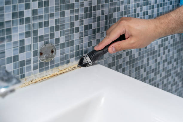 Best Mold Testing  in Harrison, WI