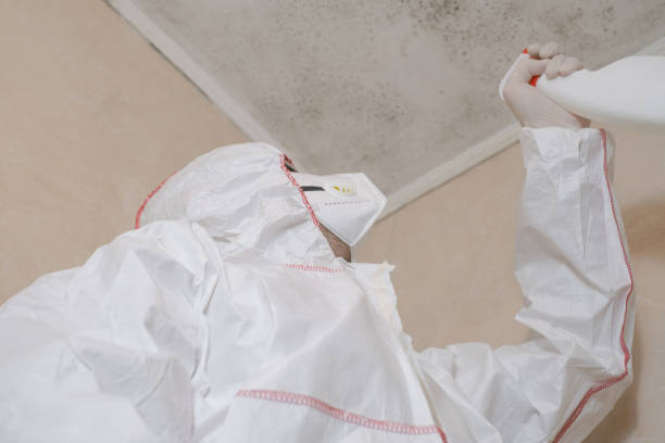 Best Fast Mold Removal  in Harrison, WI
